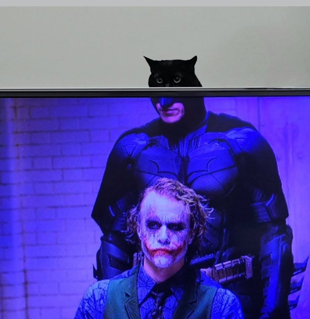 Gotham’s real mastermind finally revealed