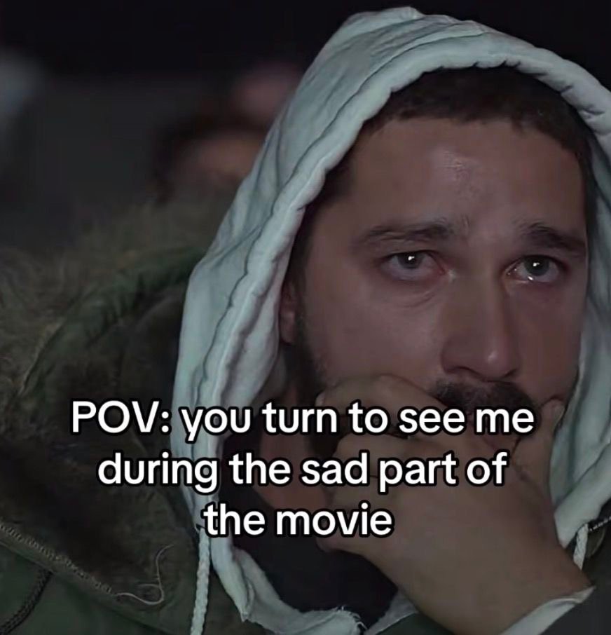     Meme showing someone trying not to cry during the emotional scene of a movie.